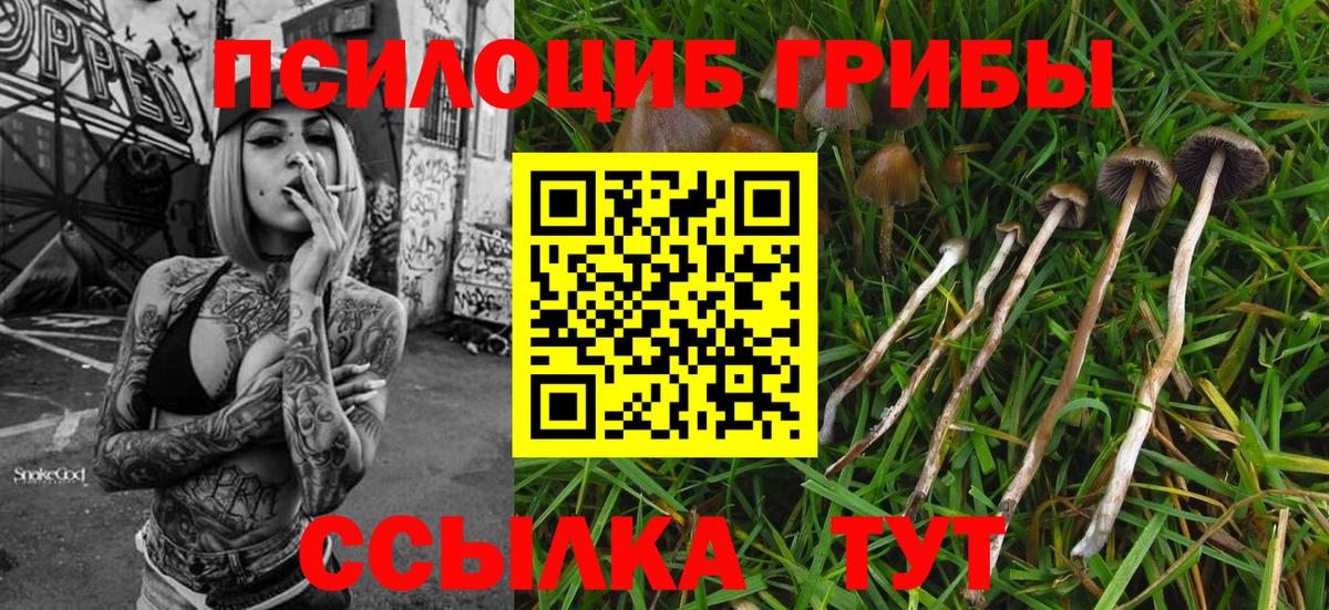 Сорочинск  Псилоцибиновые грибы Magic Shrooms  Вход с VPN 